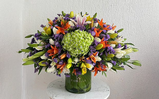 The Bloom Edit banner