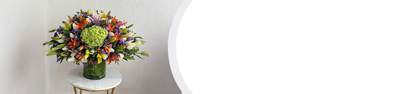 The Bloom Edit banner