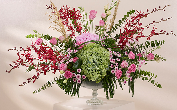 Vases Collection banner