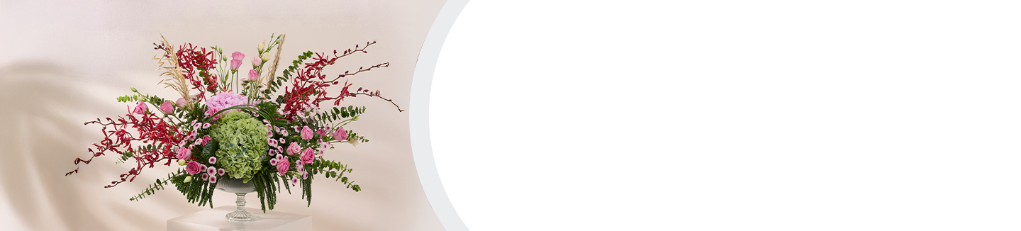 Vases Collection banner