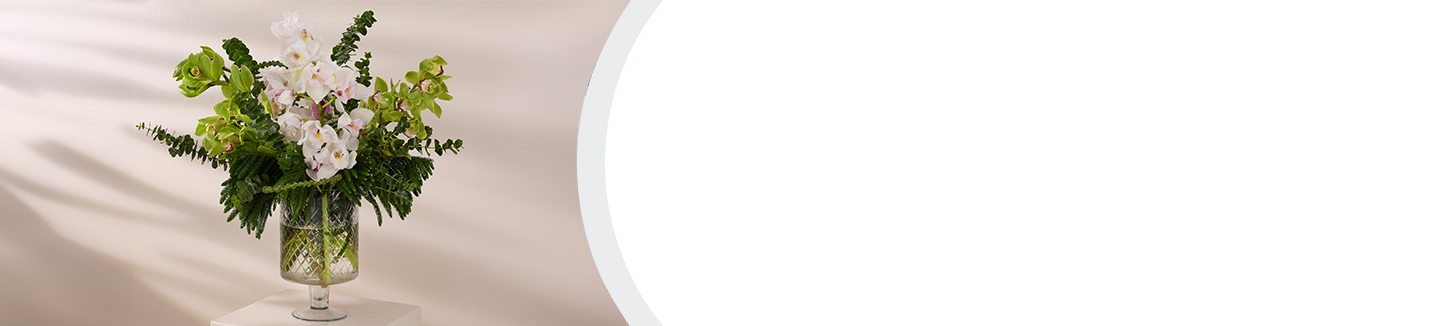 Same Day Delivery banner