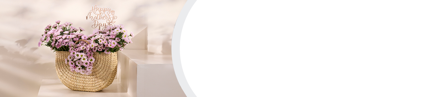 Same Day Delivery banner