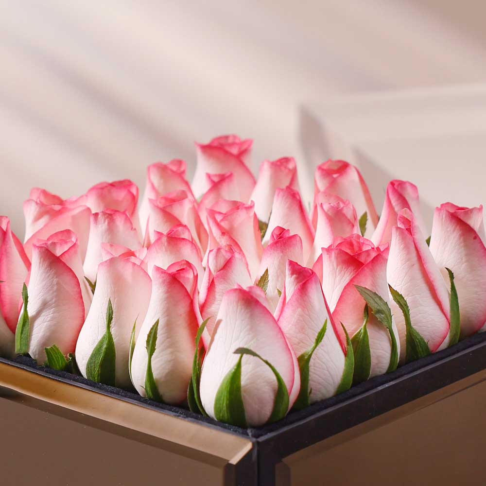 Image Thumb