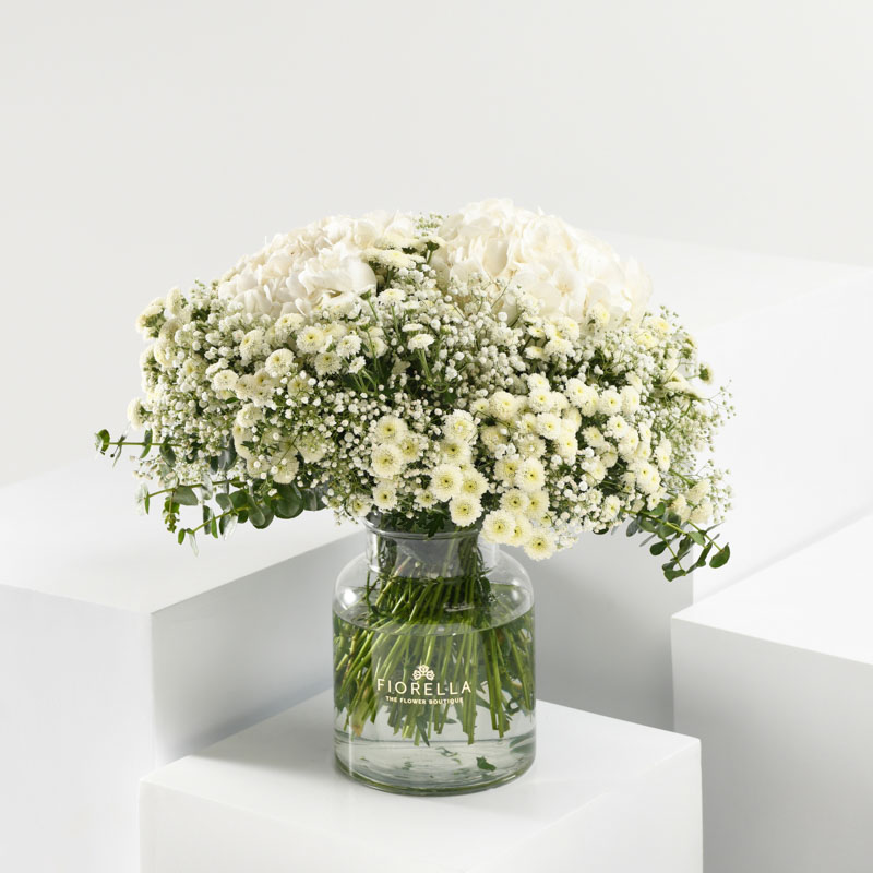  FIO WHISPER OF WHITE