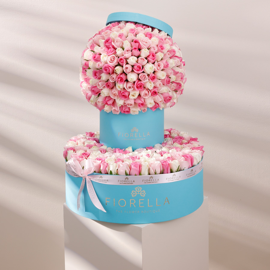 CANDY FONTANA