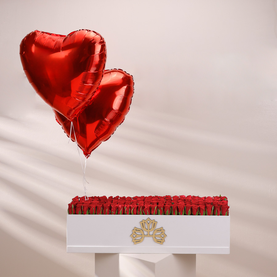  LONG BOX - BALLOON