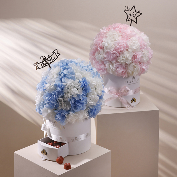  ROUND SERIES HYDRANGEAS - LITTLE ONE