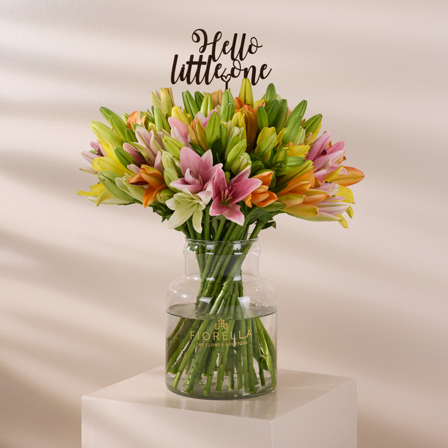  LUSH GARDEN - LITTLE ONE