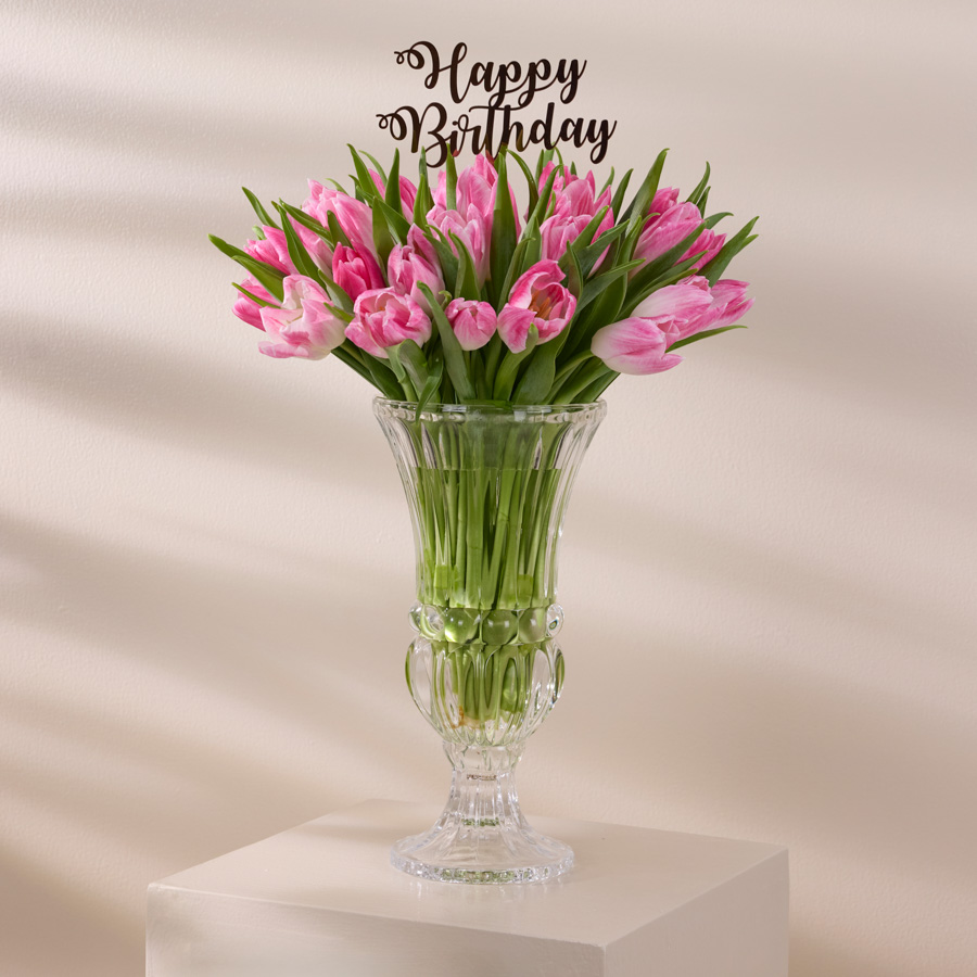  BLUSH TULIP - SPECIAL EDITION