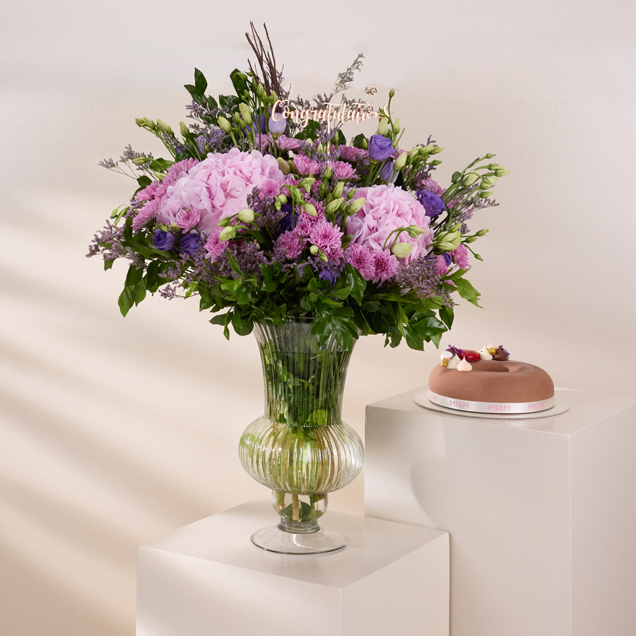  BLUSH HYDRANGEA MUSE - CELEBRATION EDIT