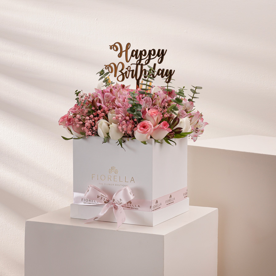  ANTHURIUM CUBE - SPECIAL EDITION