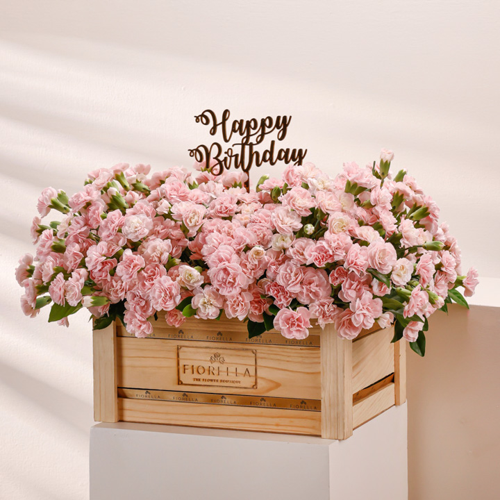  PINK HARMONY - SPECIAL EDITION