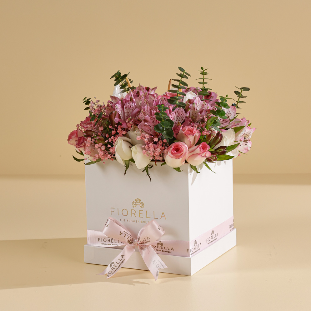 RAKHI ANTHURIUM CUBE