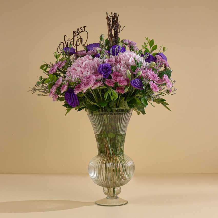  RAKHI BLUSH HYDRANGEA MUSE