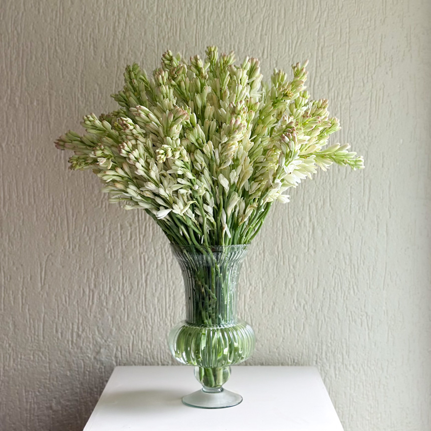  BLOOM RAJNIGANDHA CHARM