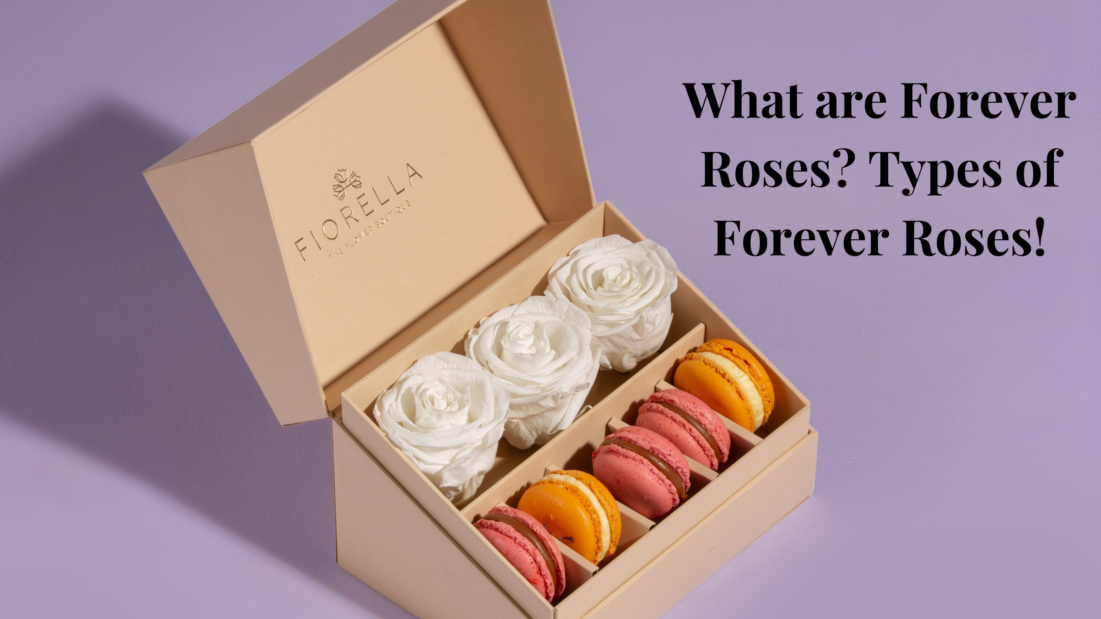 What are Forever Roses Types of Forever Roses!